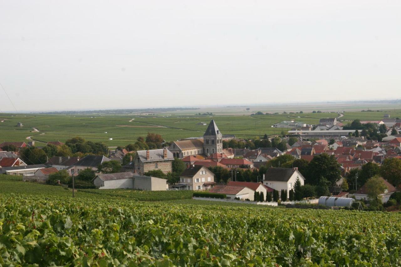 Bed and Breakfast Demeure Saint Martin Blancs-Coteaux Exteriér fotografie